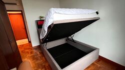 Parc Oasis (D22), Condominium #623688231
